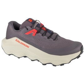 Salomon Ultra Glide 3 L47742100 running shoes grey