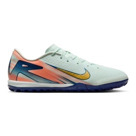 Nike Zoom Vapor 16 Academy MDS TF FZ1386-300 football shoes green