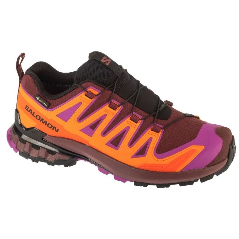 Salomon XA PRO 3D V9 GTX running shoes in L47961900 multicolored