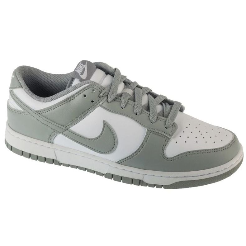 Nike Dunk Low Retro HF5441-105 shoes