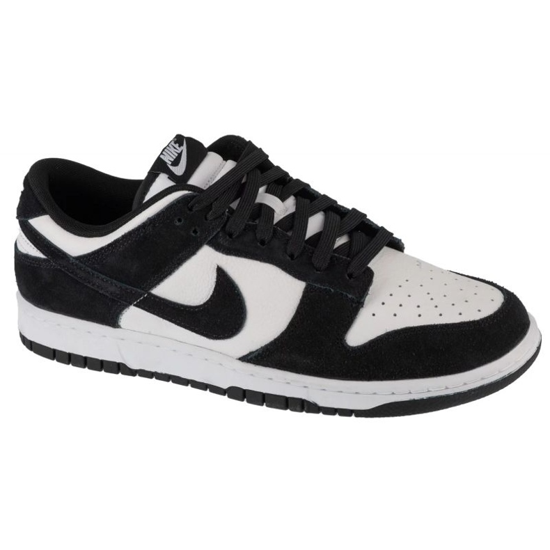Nike Dunk Low Retro M FQ8249-100 shoes