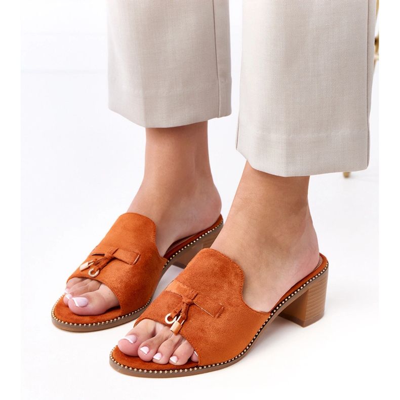 Brown flip -flops on the birch ornament