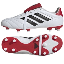 Adidas Copa Gloro II FG JR2871 shoes multicolored