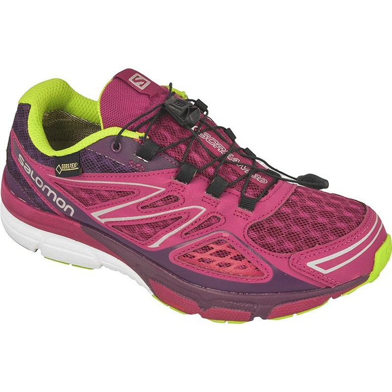 Running shoes Salomon X-Sceream 3D GTX W L37596400 violet