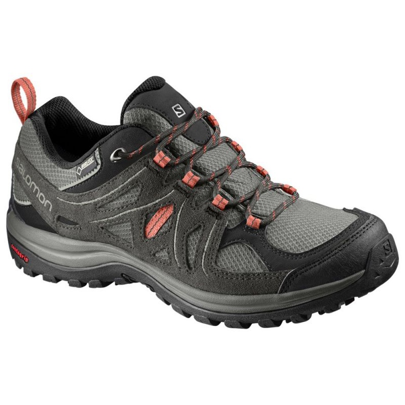 Trekking shoes Salomon Ellipse 2 GTX W L40002100 grey