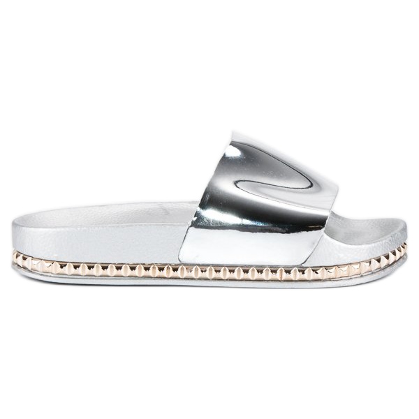 Anesia Paris Women's silver slippers grey