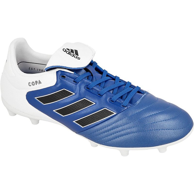 Adidas Copa 17.3 Fg M BA9717 football boots blue blue