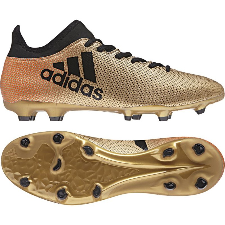 Adidas X 17.3 Fg M CP9190 football boots multicolored multicolored