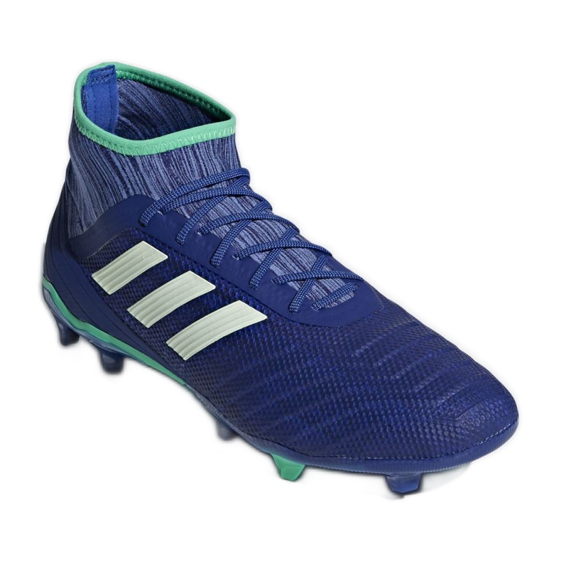 Adidas Predator 18.2 Fg M CP9293 football boots multicolored blue