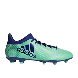 Adidas X 17.3 Fg M CP9194 football boots multicolored multicolored