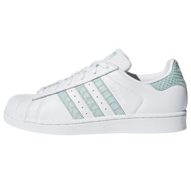 Adidas Originals Superstar W CG5461 shoes white