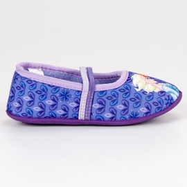 Ballet slippers. Ice purple