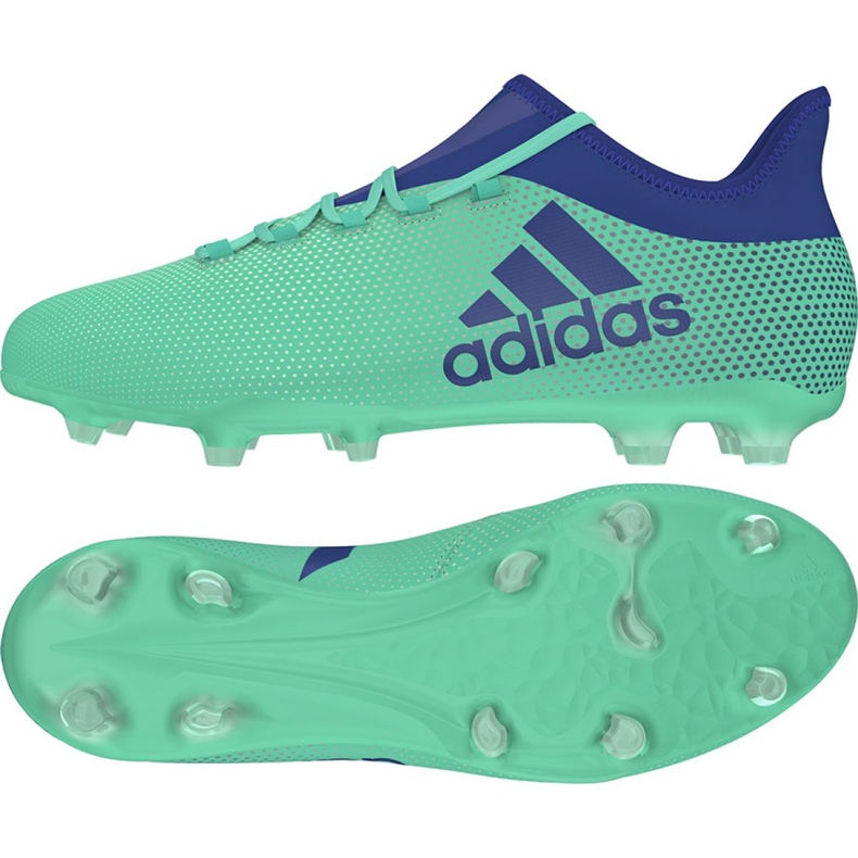 Adidas X 17.2 Fg M CP9189 football boots multicolored green