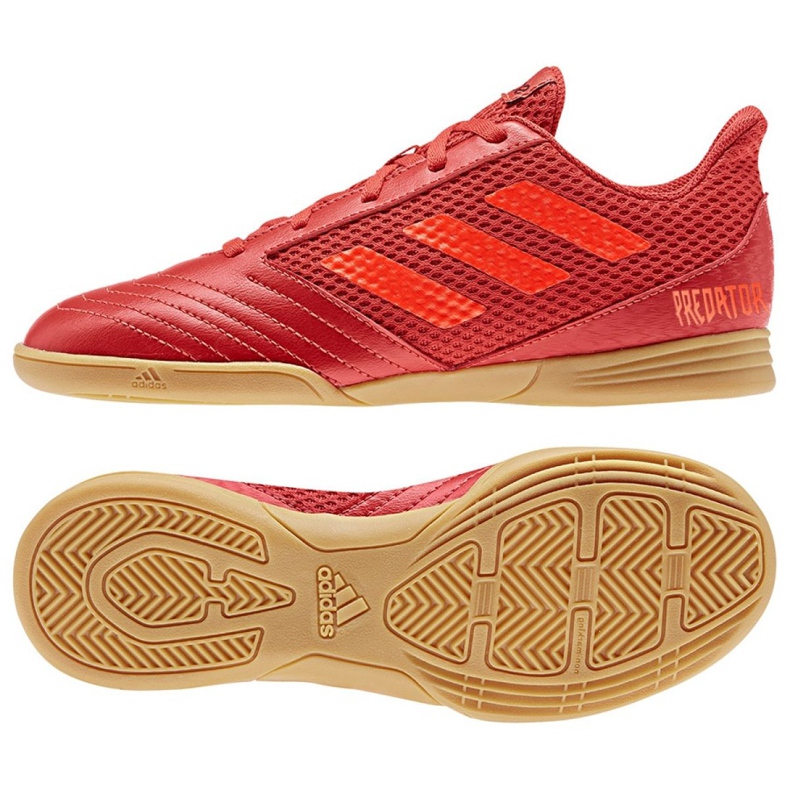 Indoor shoes adidas Predator 19.4 In Sala Jr CM8552 multicolored