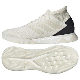 Indoor shoes adidas Predator 19.1 Tr M D98056 multicolored white