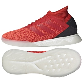 Indoor shoes adidas Predator 19.1 Tr M D98057 multicolored