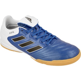 Indoor shoes adidas Copa 17.3 In M BB0853