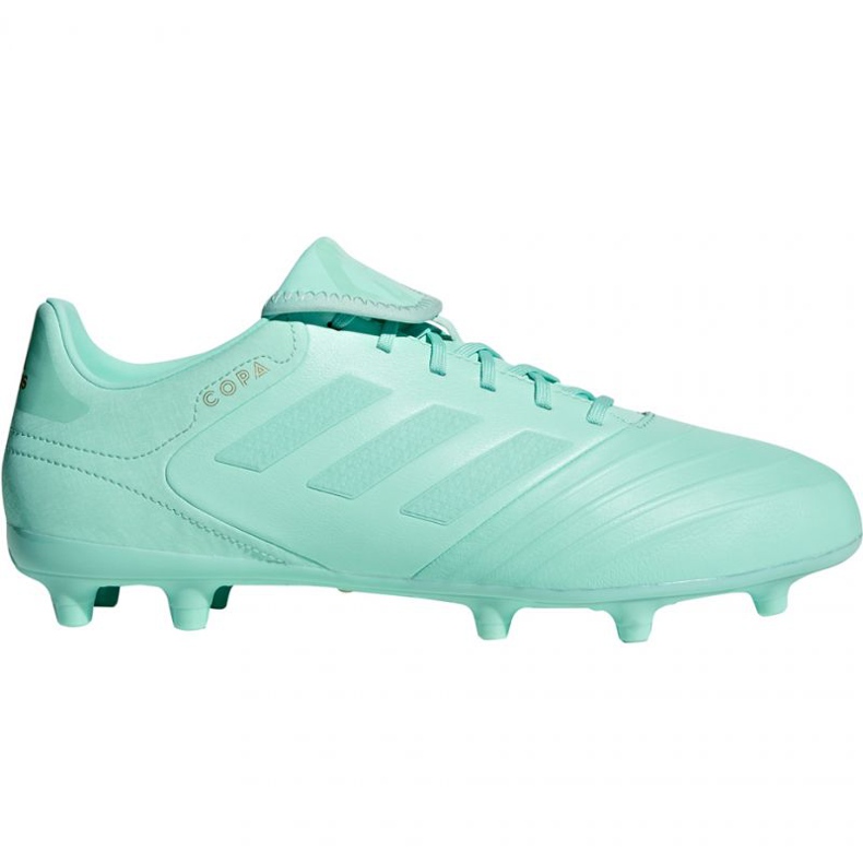 Adidas Copa 18.3 Fg M DB2462 football boots blue blue