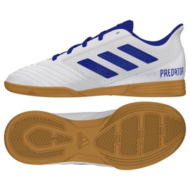 predator 19.4 in sala