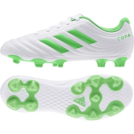 Adidas Copa 19.4 Fg Jr D98089 football boots multicolored white