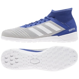 Indoor shoes adidas Predator 19.3 In M D97963 multicolored grey