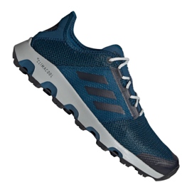 Shoes adidas Terrex Cc Voyager M BC0447 multicolored blue