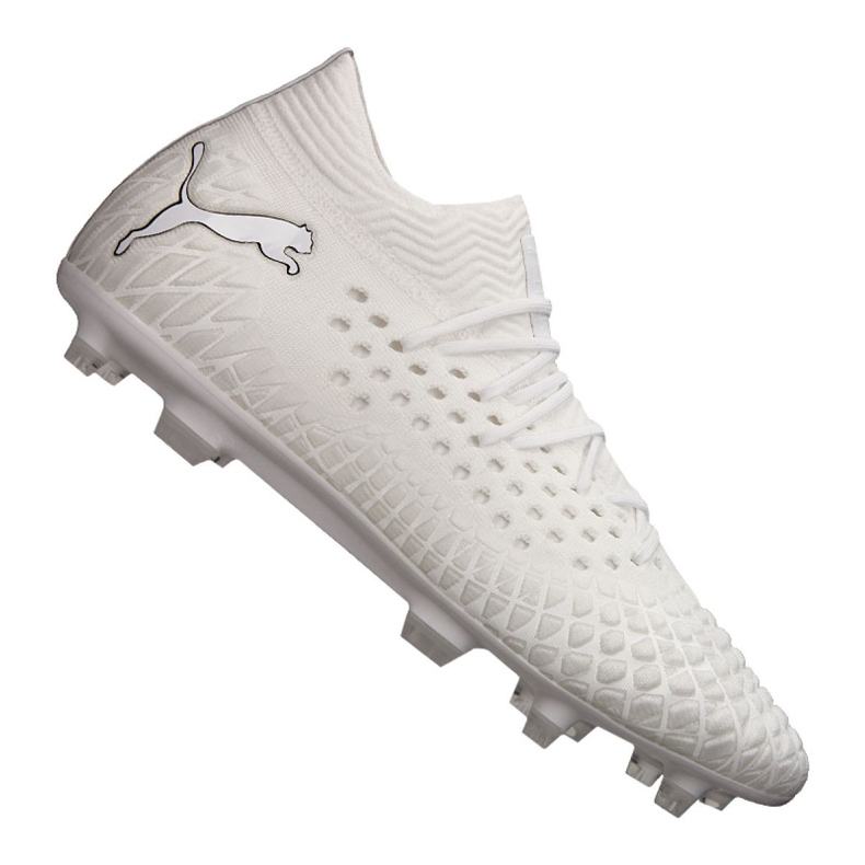 Puma Future 4.1 Custom Fg / Ag M 106106 01 football shoes white white