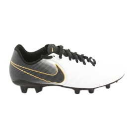 Nike Tiempo Legend 7 Academy Fg M AO2596-100 football shoe white