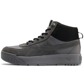 puma sb shoes