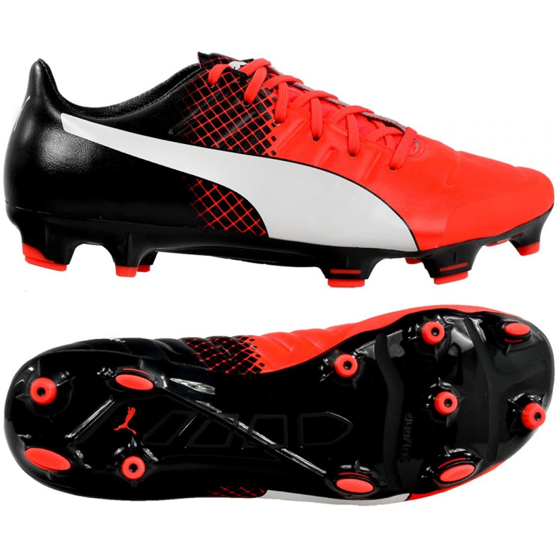 Football boots Puma Evo 2.3 Fg M 103853 01 black black