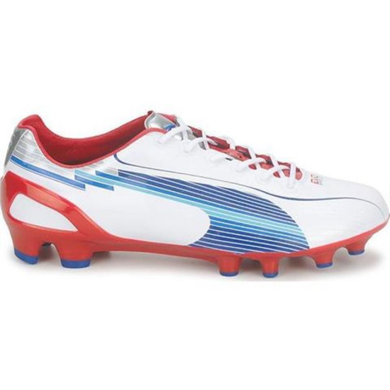 Football boots Puma Evo Speed ​​1 Fg M 102527 01 white white