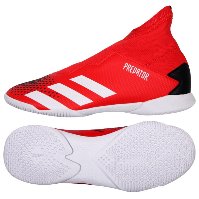 Indoor shoes adidas Predator 20.3 Ll In Jr EF1952 multicolored