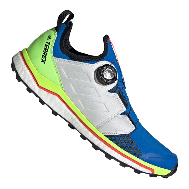 Shoes adidas Terrex Agravic Boa M EH0202 blue grey green