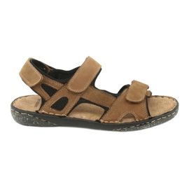 American Club men's sandals velcro CY15 / 20 brown