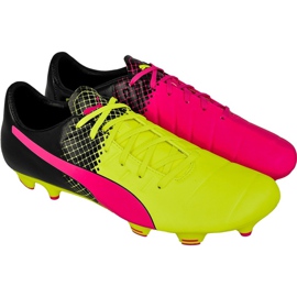 evopower 3 puma