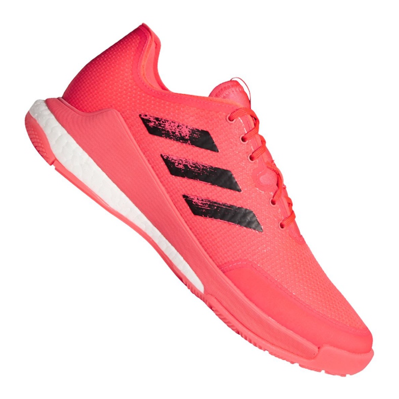 Adidas Crazyflight Tokyo M FX1764 volleyball shoes multicolored pink