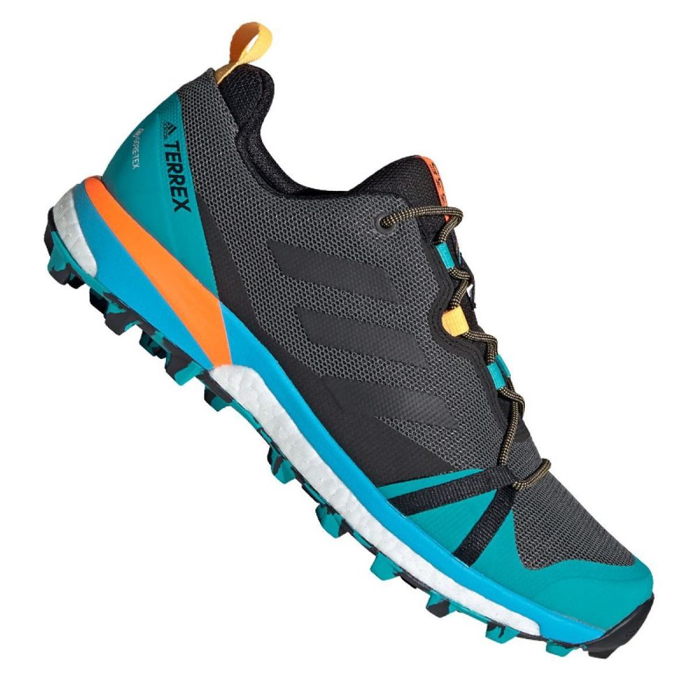 Adidas Terrex Skychaser Lt Gtx M FX0148 shoes multicolored blue