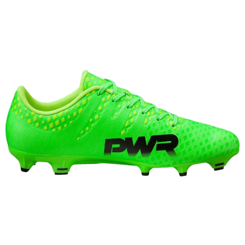 Football boots Puma Evo Power 3 Fg 103956 01 green