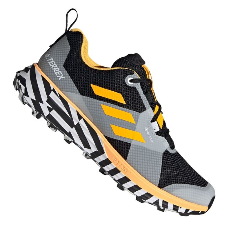 Adidas Terrex Two Gtx M FW9871 shoes black grey