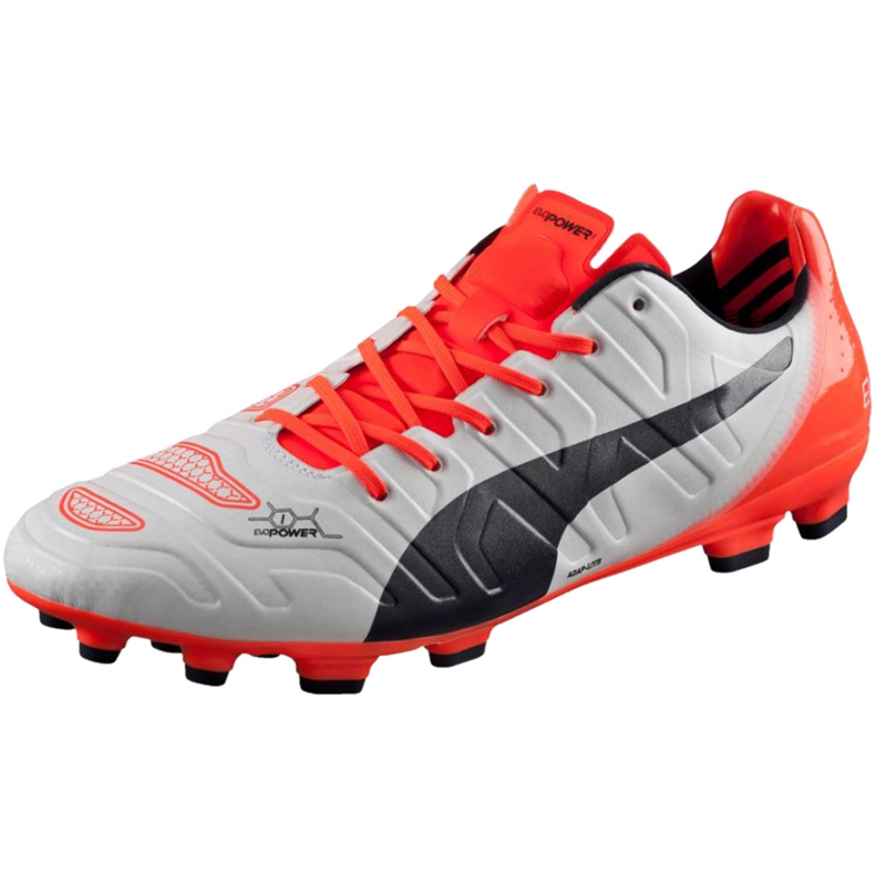 Puma Evo Power 1.2 Ag 103213 05 football boots grey