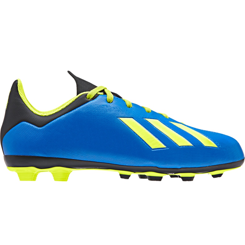 Adidas X 18.4 FxG Jr DB2419 football boots multicolored blue