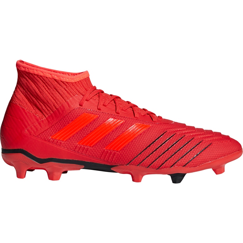 Adidas Predator 19.2 Fg D97940 football boots multicolored