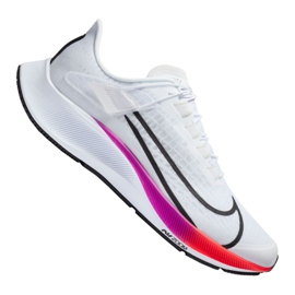 Running shoes Nike Air Zoom Pegasus 37 Flyease M CK8474-100