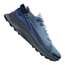 Running shoes Nike Pegasus Trail 2 Gtx M CU2016-400 blue