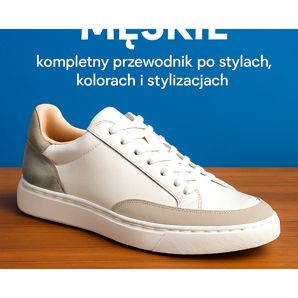 Men's sneakers - a complete guide to styles, colors and styling