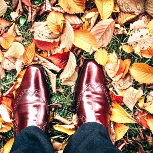 Leather shoes - how to care for them?