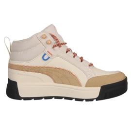 Puma Tarrenz Sb Iii Open Road shoes 393929-02 beige 1