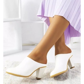 White slippers on the Plotkin post 2