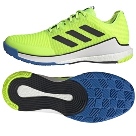 Adidas CrazyFlight M HP3356 volleyball shoes green 1