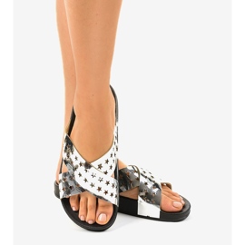 Silver slippers with stars D7627-3 multicolored 1